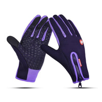 Violetti